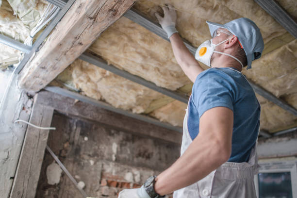 Best Insulation Installation Services in Laymantown, VA